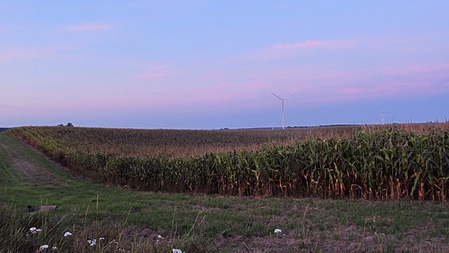 Corn farm in Poland panorama Poland: What next for eco-schemes and the principles of conditionality? That is, the direct payment system in practice