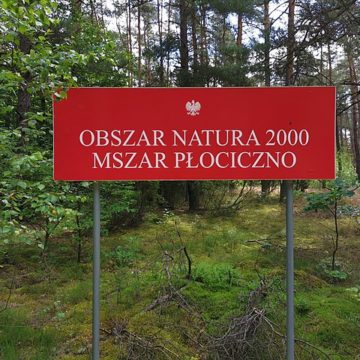 Netherlands: North Brabant asks for 252 million euros for nature restoration