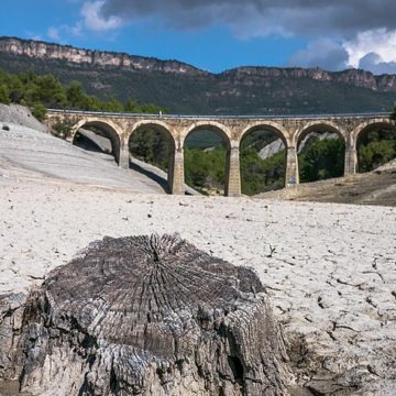 Spanish Subscribers of about 63,000 anti-drought policies to receive the supplementary subsidy to agricultural insurance from this Thursday the 13th