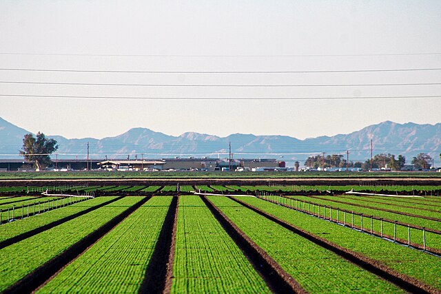 Imperial Agricultural Supply