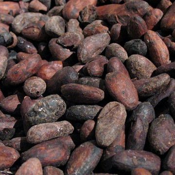 West African cocoa beans