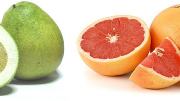 South Africa citrus