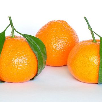 Citrus fruits