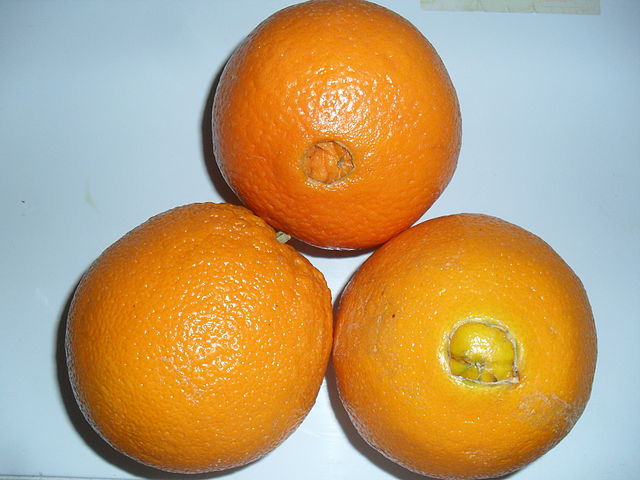 Egypt citrus fruits
