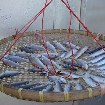 Drying fish