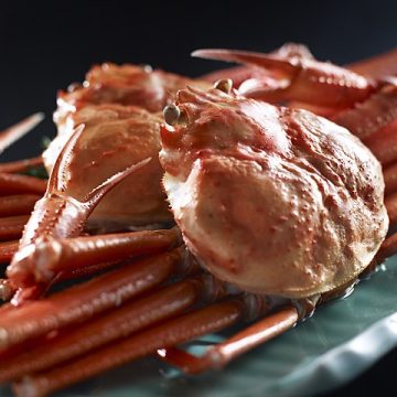 Japan red snow crab