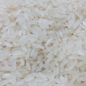 Philippines Rice Price: President Marcos orders a price cap on rice