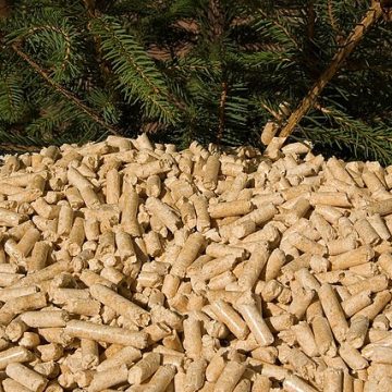 Forest product US