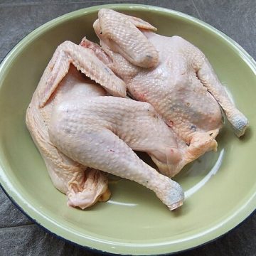 chicken