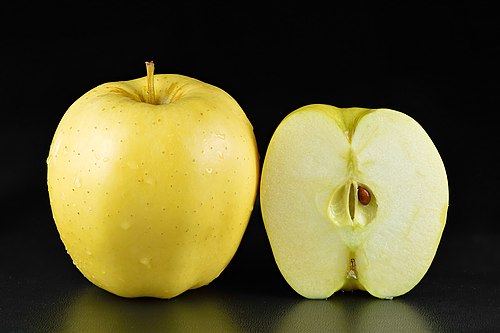 Golden delicious apples: Credit, Wikimedia Commons apples