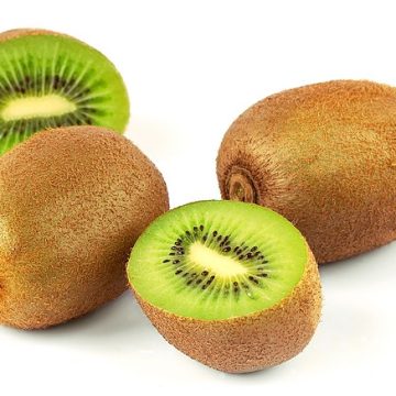 Kiwifruit