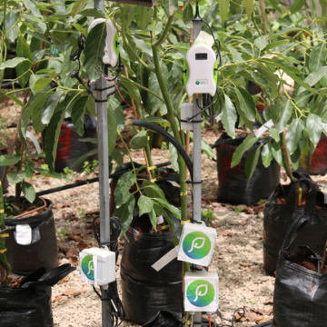 Smart agriculture