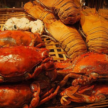 lobster and crab on a plate