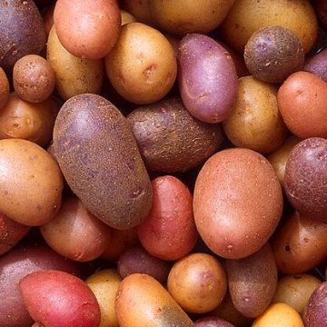 potatoes