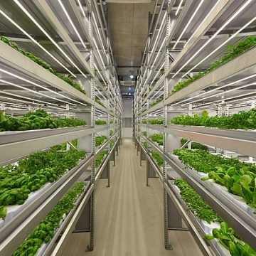 Vertical farm