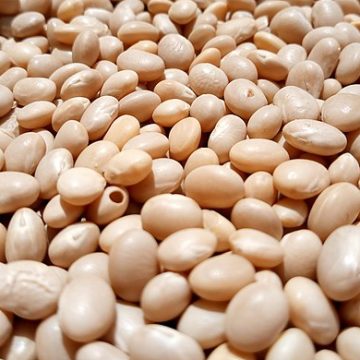 pulses