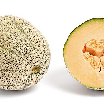 Cantaloupe