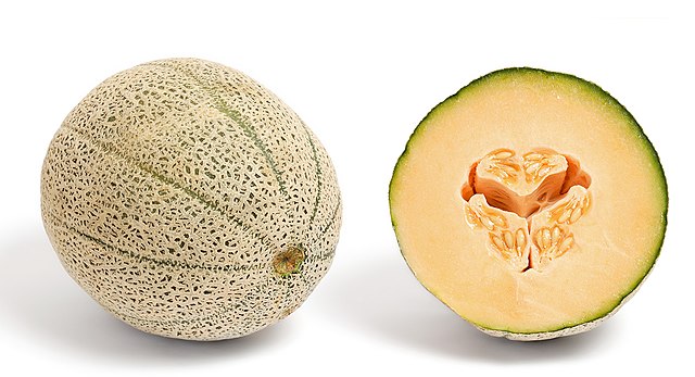 Cantaloupe and cross-section: Credit, Wikimedia Commons Cantaloupe