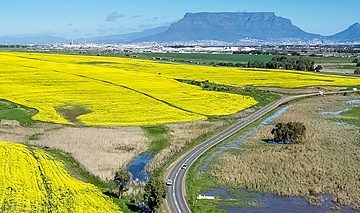 Agriculture in South Africa