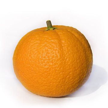 navel orange