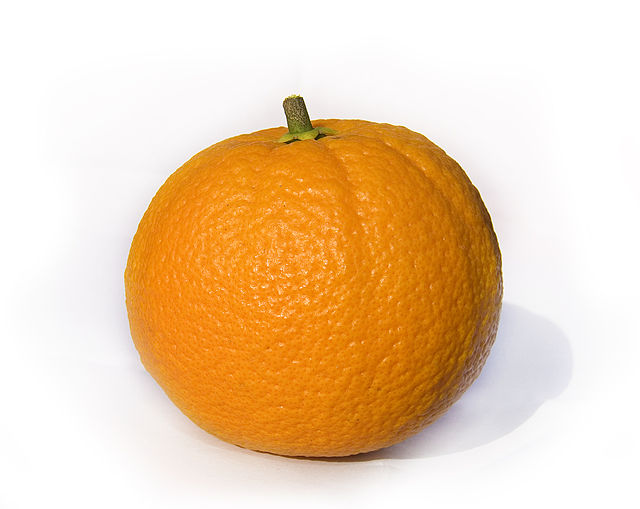 navel orange