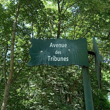 A green street in Paris