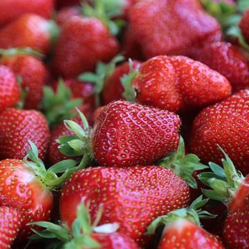Kashmir’s strawberry harvest kicks off in Gasso village, promises low yields