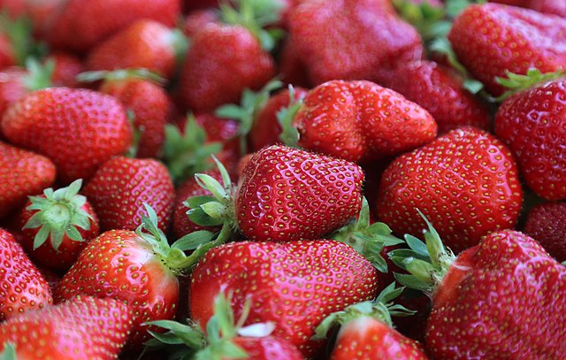 Kashmir’s strawberry harvest kicks off in Gasso village, promises low yields