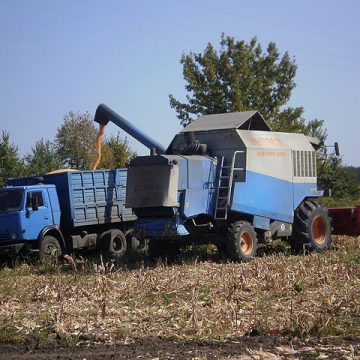 Grain truck loading in Ukraine