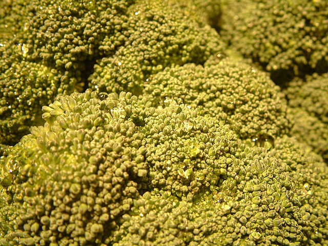 Broccoli head close-up