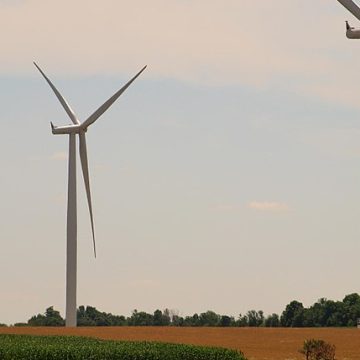 Carbon-free wind farm