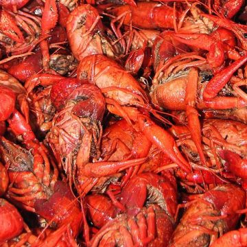 Crawfish