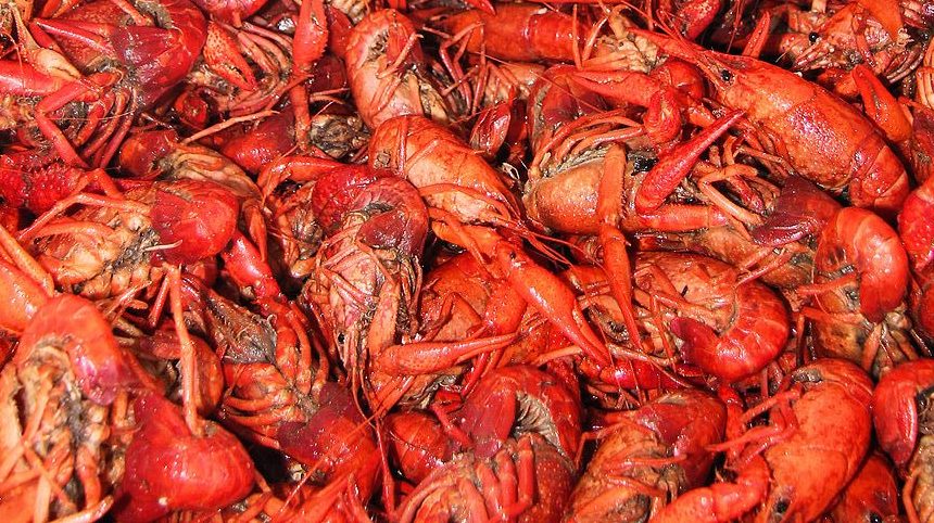 Crawfish: Cedit, Wikimedia Commons Crawfish