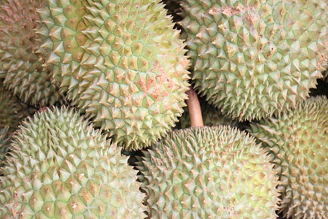 Thailand’s Chanthaburi takes crown as key durian exporter to China