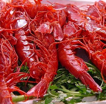Red shrimp