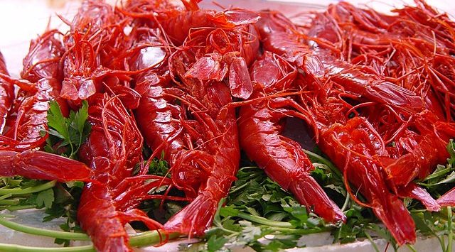 Red shrimp