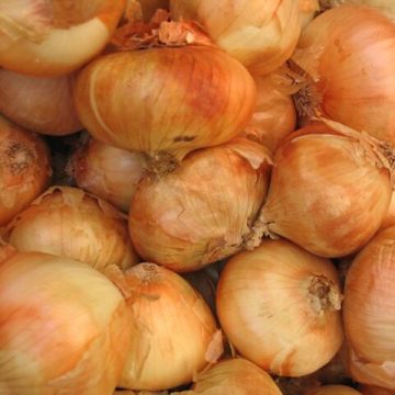 Vidalia onions from Ga