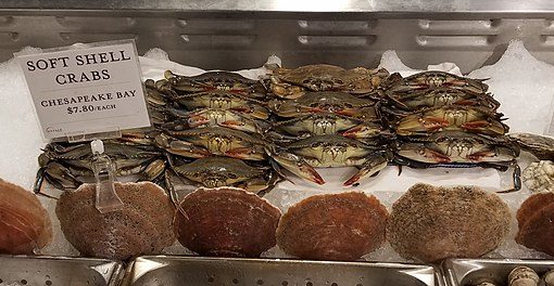 Softshell crabs from Chesapeake Bay