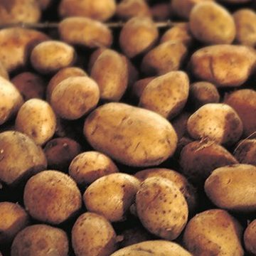 Potatoes