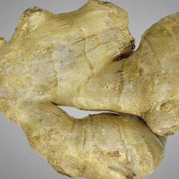 Ginger root