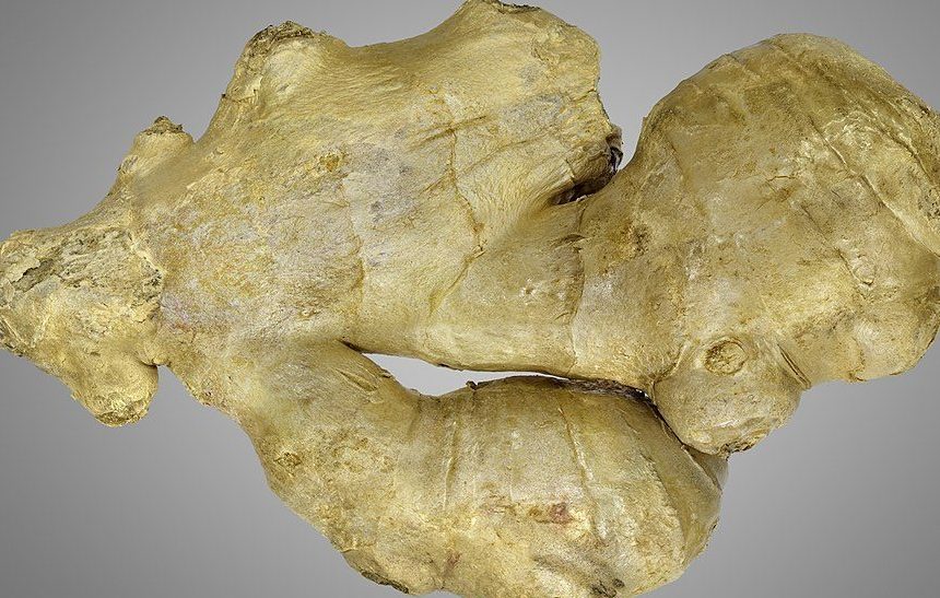 Ginger: Credit, Wikimedia Commons Ginger root