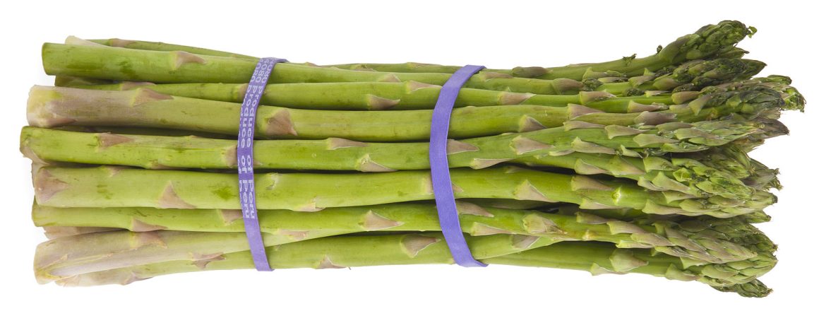 A bundle of asparagus spears