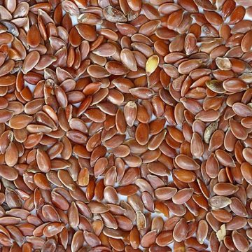 How 1.25 million seeds varieties will stand the test of climate change