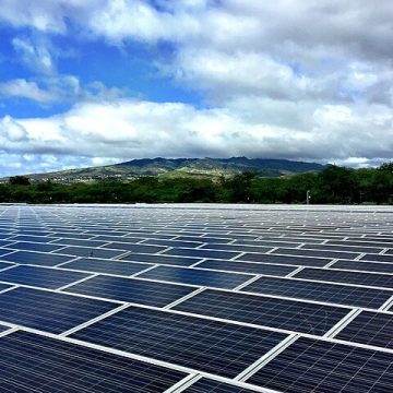 A solar farm