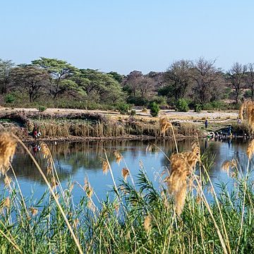 Irrigation near Okavango River, Namibia
