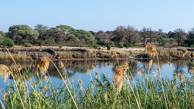 Irrigation near Okavango River, Namibia