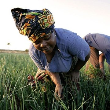 East Africa agriculture