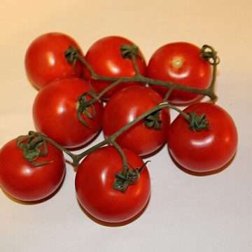 Mexico tomatoes