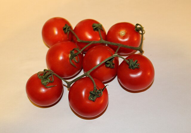 Campari tomatoes from Mexico: Credit, Wikimedia Commons Mexico tomatoes