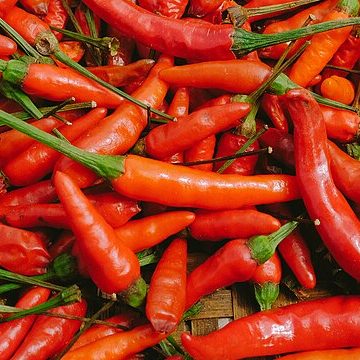 Pepper from Vietnam